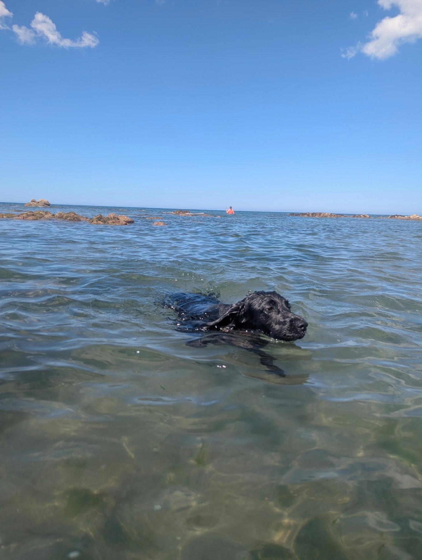 Luna swimming
