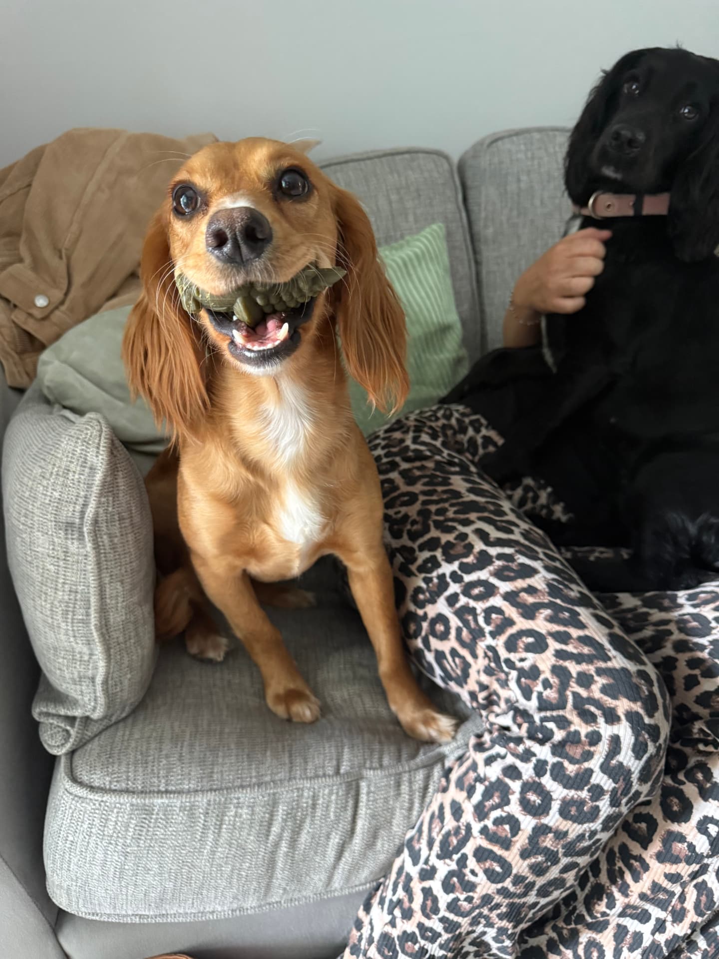 Luna and Ella on their adventures