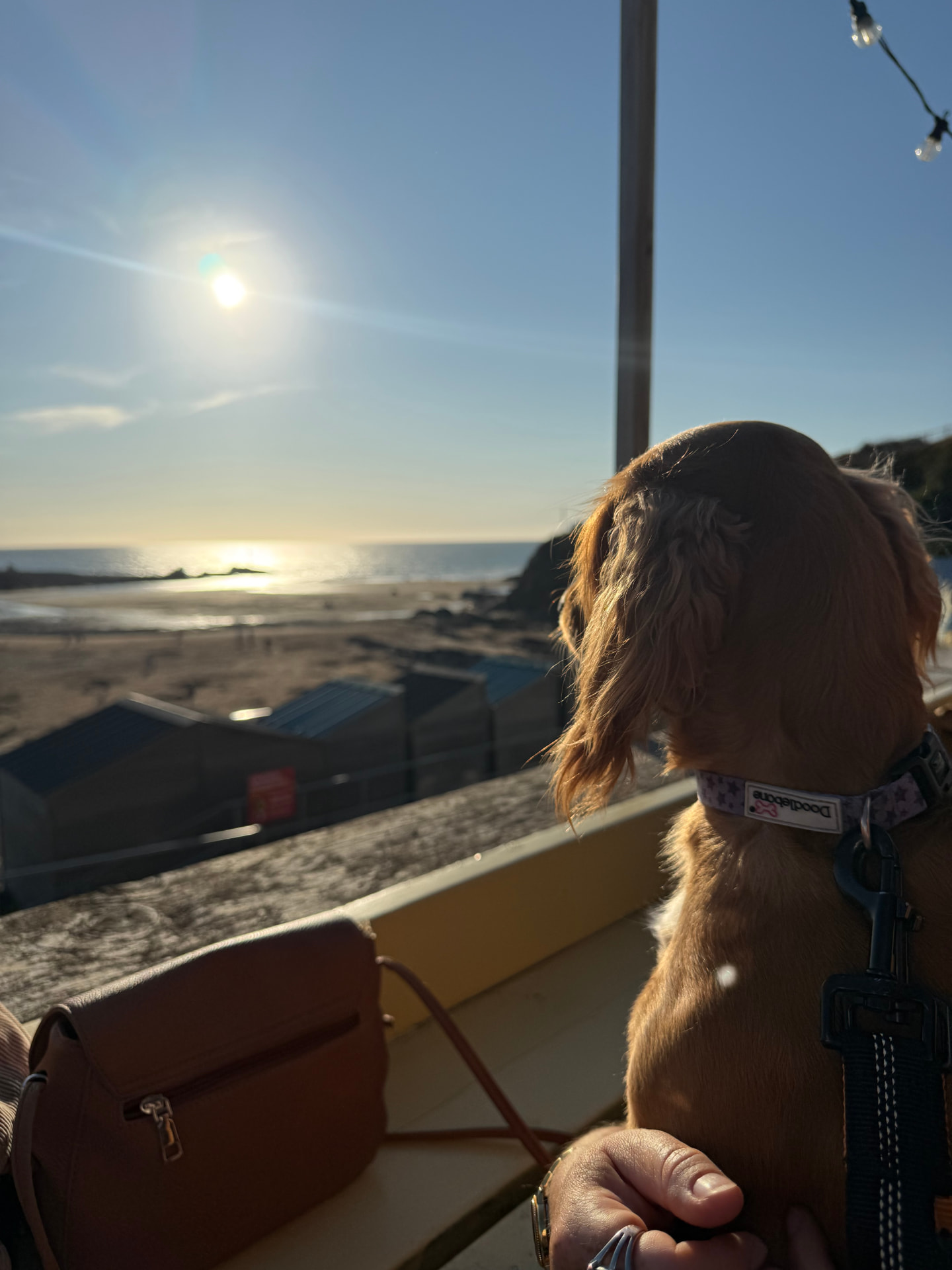 Ella at sunset
