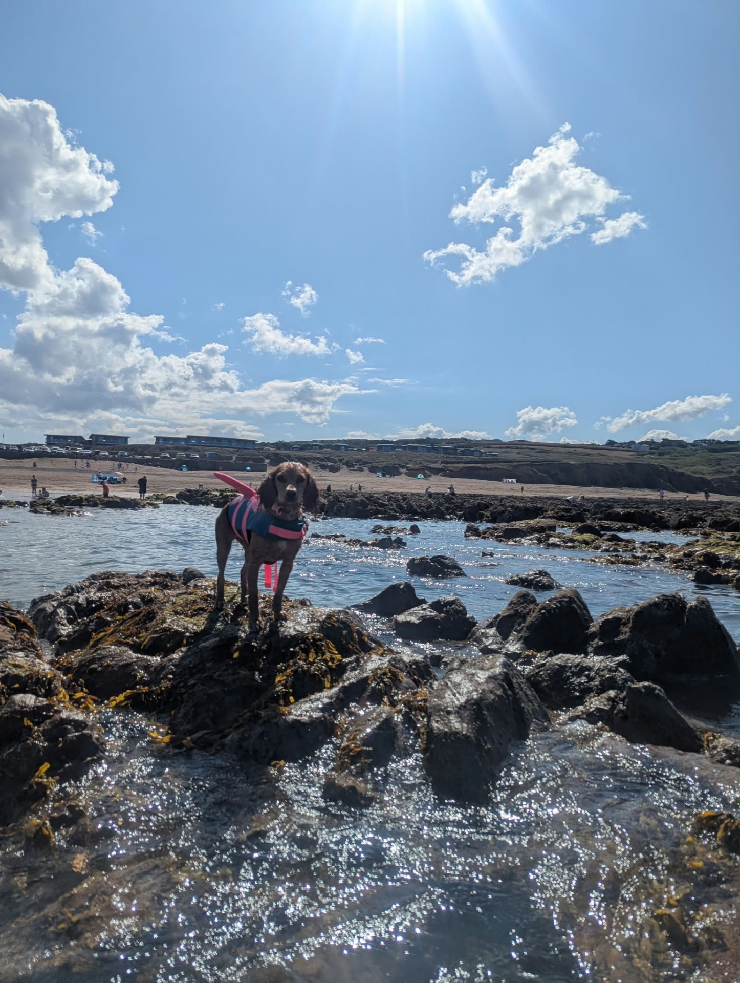 Luna and Ella on their adventures