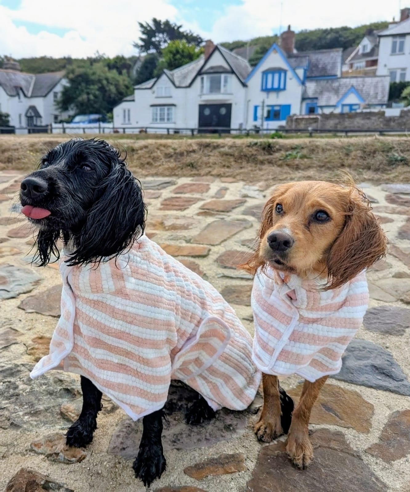 Luna and Ella in their drying robes