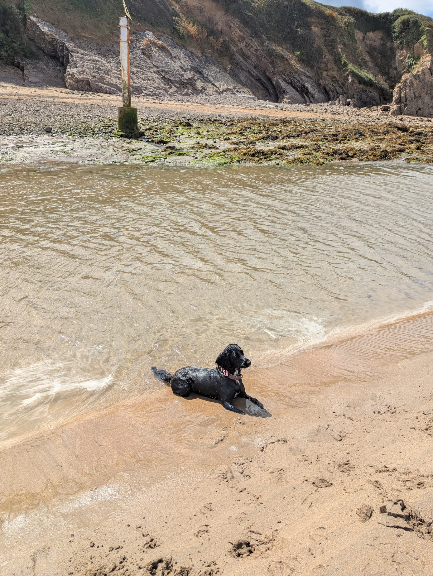Luna and Ella on their adventures
