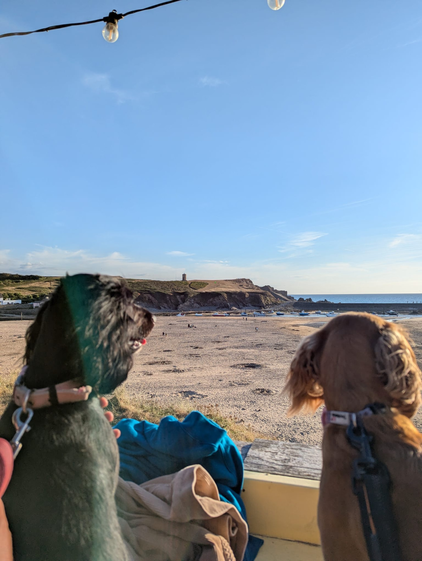 Luna and Ella on their adventures